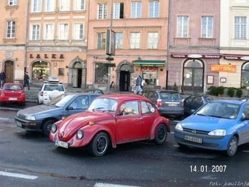 Zdjęcie 202