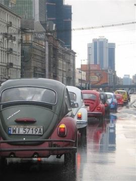 Zdjęcie 24