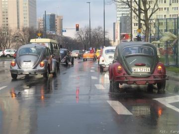 Zdjęcie 28