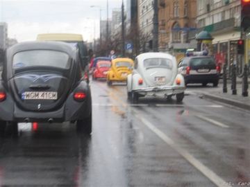 Zdjęcie 38