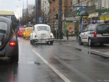 Zdjęcie 39