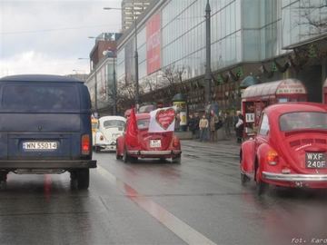 Zdjęcie 41
