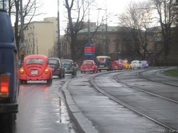 Zdjęcie 43