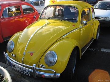Zdjęcie 63