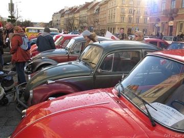 Zdjęcie 76
