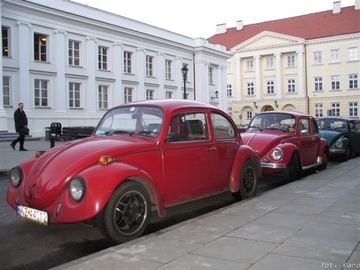 Zdjęcie 97