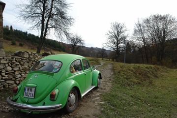 Zdjęcie 157