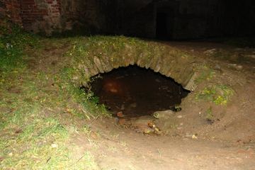 Zdjęcie 200