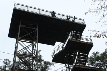 Zdjęcie 21