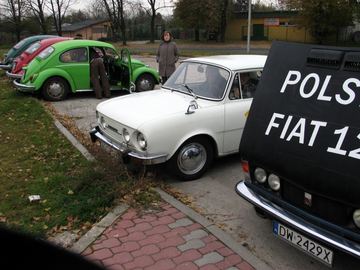 Zdjęcie 259