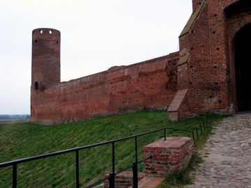 Zdjęcie 262