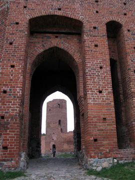 Zdjęcie 263