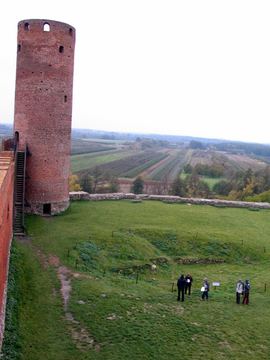Zdjęcie 268