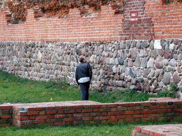 Zdjęcie 272