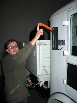 Zdjęcie 310