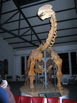 Zdjęcie 316