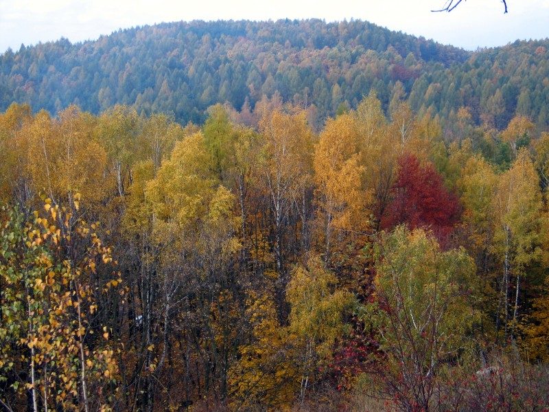 rajd 4000 - Bieszczady – zdjęcie 327