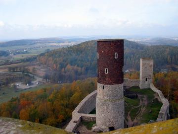 Zdjęcie 334