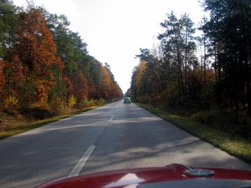 Zdjęcie 337