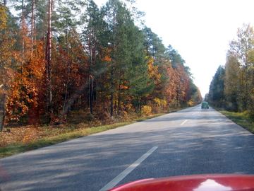 Zdjęcie 338