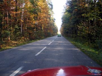 Zdjęcie 340