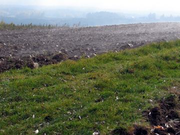 Zdjęcie 341