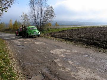 Zdjęcie 348