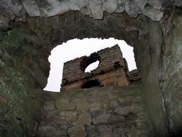 Zdjęcie 352