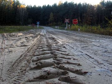 Zdjęcie 363