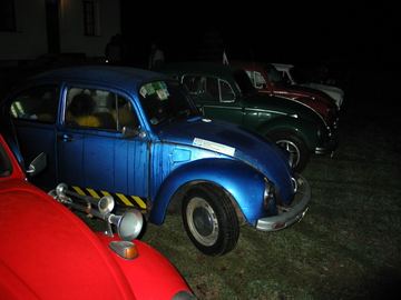 Zdjęcie 390