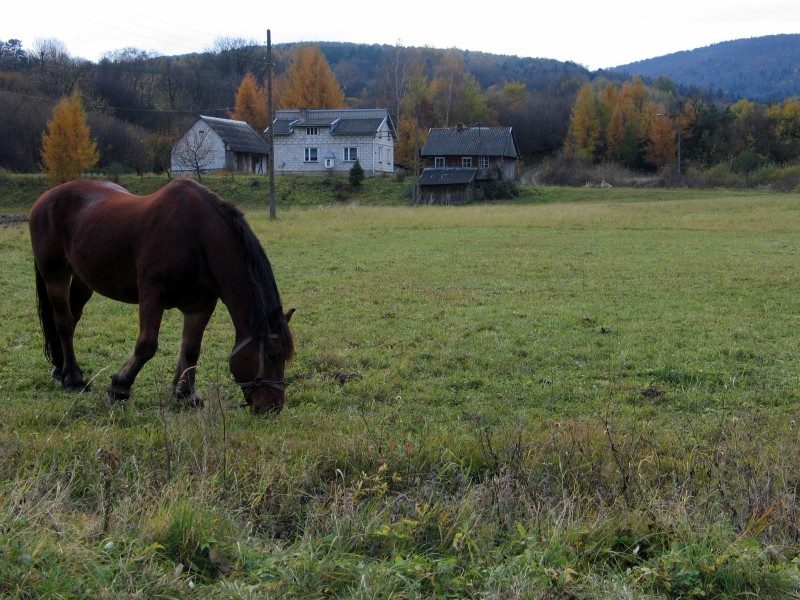 rajd 4000 - Bieszczady – zdjęcie 406