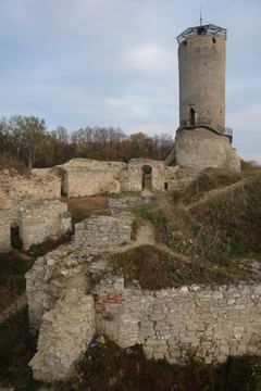 Zdjęcie 41