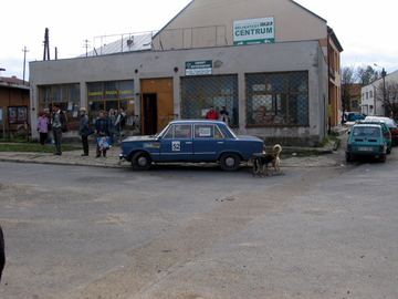 Zdjęcie 411