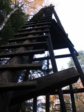 Zdjęcie 428