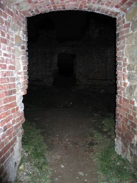 Zdjęcie 448