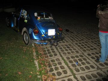 Zdjęcie 454