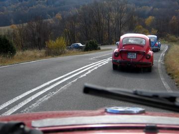 Zdjęcie 480