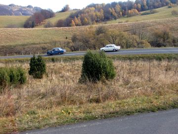 Zdjęcie 487