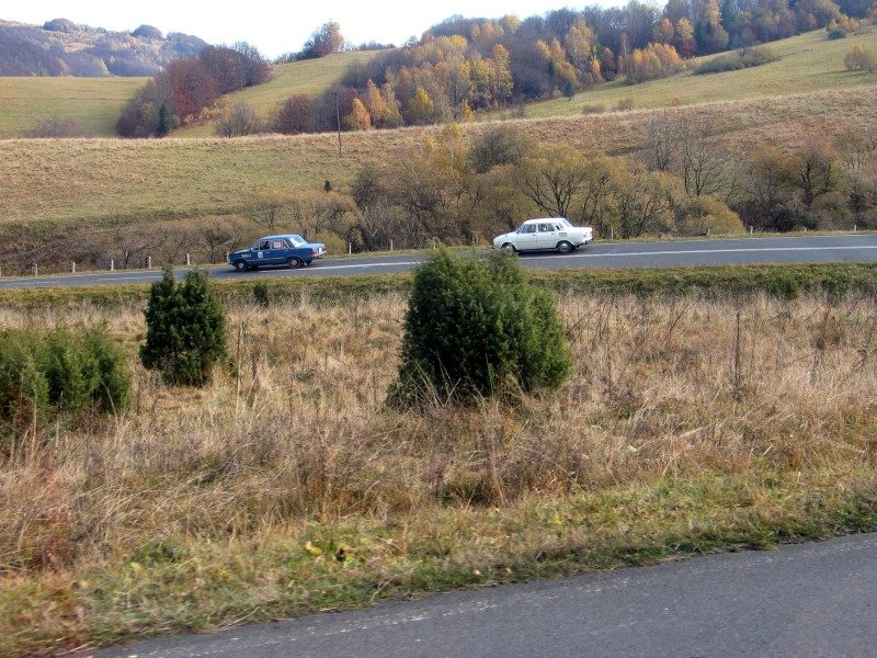 rajd 4000 - Bieszczady – zdjęcie 487