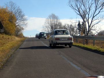 Zdjęcie 492