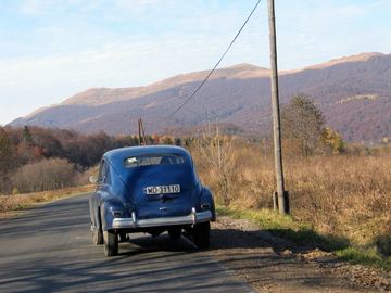 Zdjęcie 501