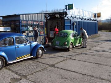 Zdjęcie 505