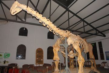 Zdjęcie 65