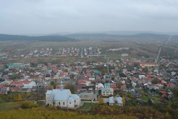 Zdjęcie 83