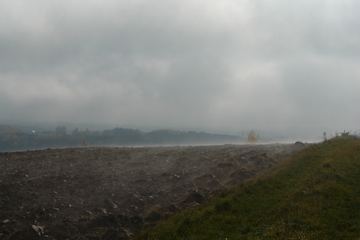 Zdjęcie 89
