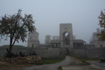 Zdjęcie 91