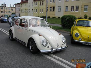 Zdjęcie 11