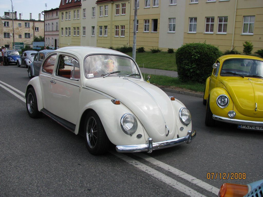 Autor zdjęć: Bakter – zdjęcie 11