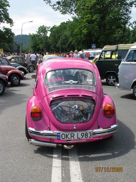 Zdjęcie 13