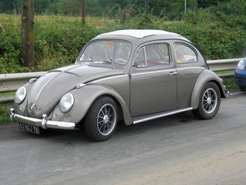 Zdjęcie 53